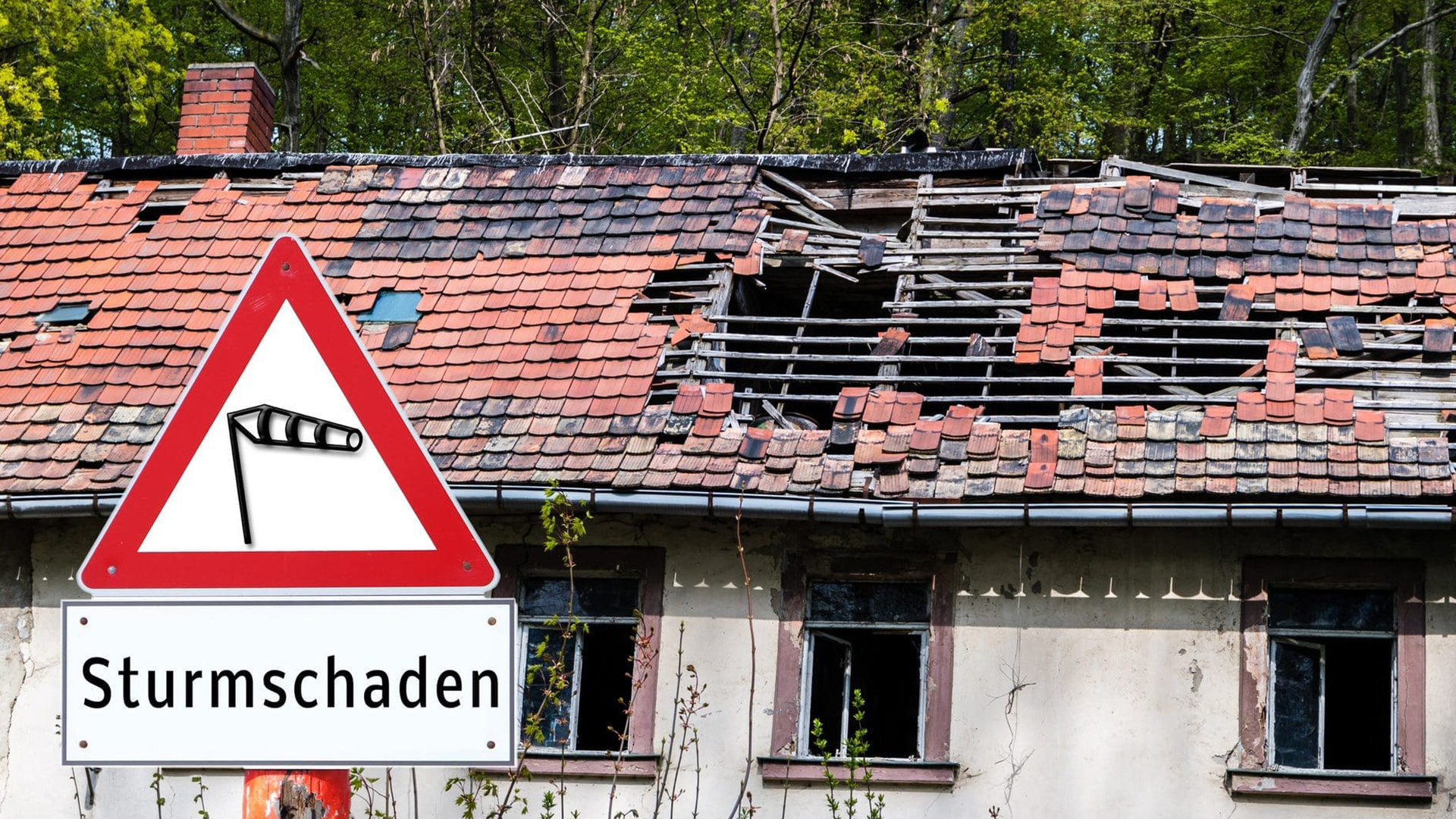 Sturmschäden Sturmschäden